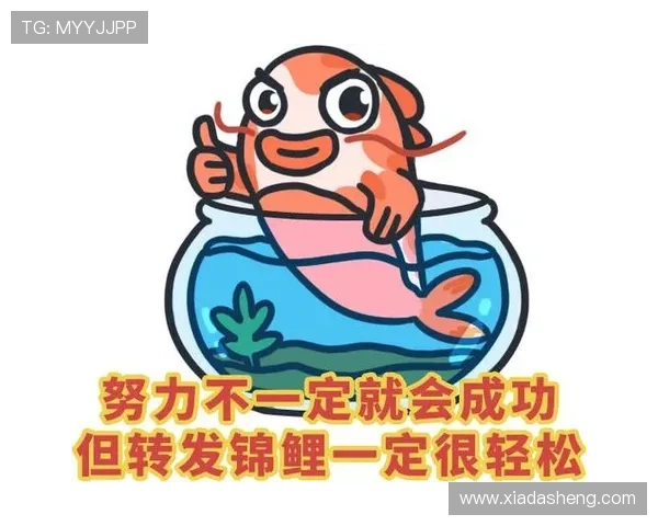 开运平台入口官方最新版本下载及登录流程全攻略助你快速开启好运