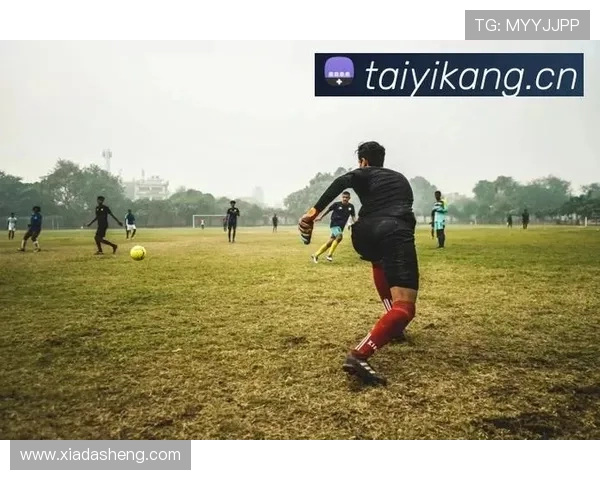 探索开云kaiyun体育app下载官网的独特优势与体育项目选择 探索开云kaiyun体育app下载官网的独特优势与体育项目选择