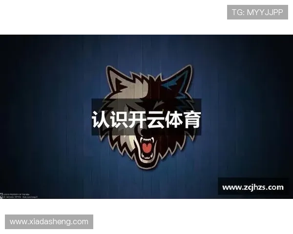 深度解析开云kaiyun体育app入口登录官网的特色服务与优势