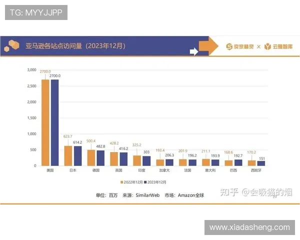 开云中国关网事件对跨境电商和海外品牌布局的影响深度解读